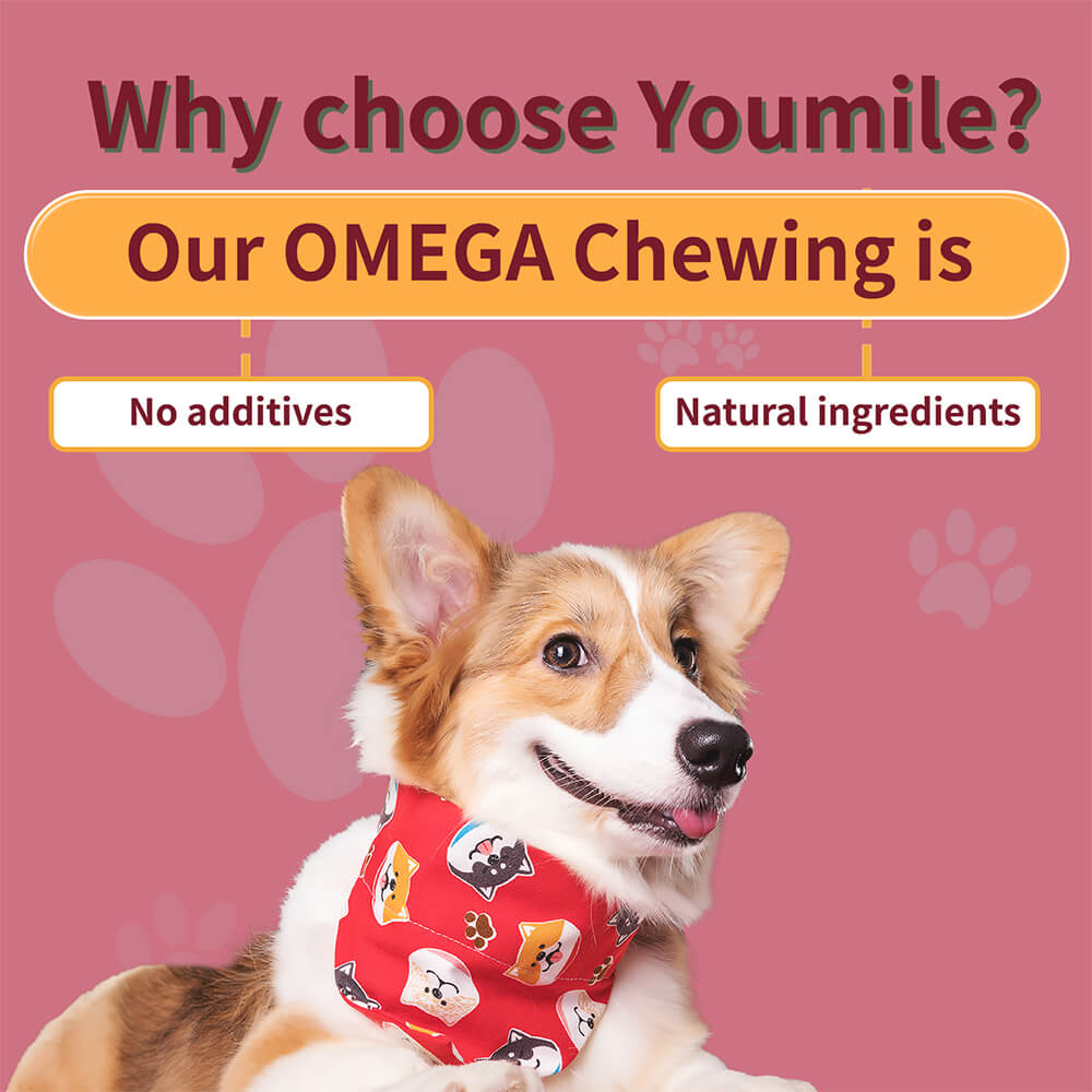 Dog Omega Soft Chews Healthy Skin & Coat Supplement - 120 Count
