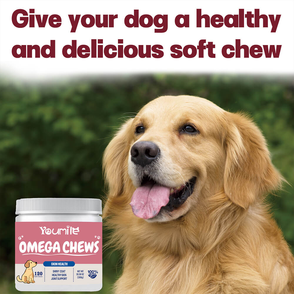 Dog Omega Soft Chews Healthy Skin & Coat Supplement - 120 Count