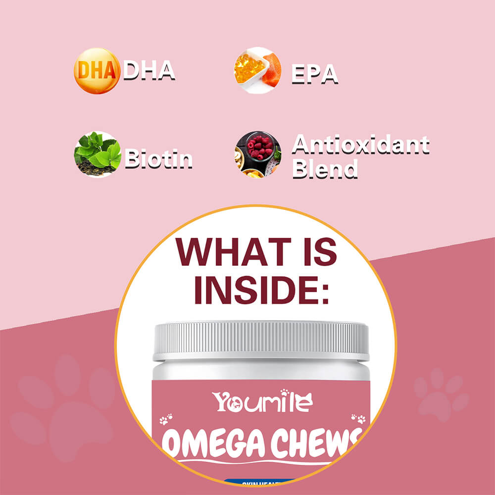 Dog Omega Soft Chews Healthy Skin & Coat Supplement - 120 Count