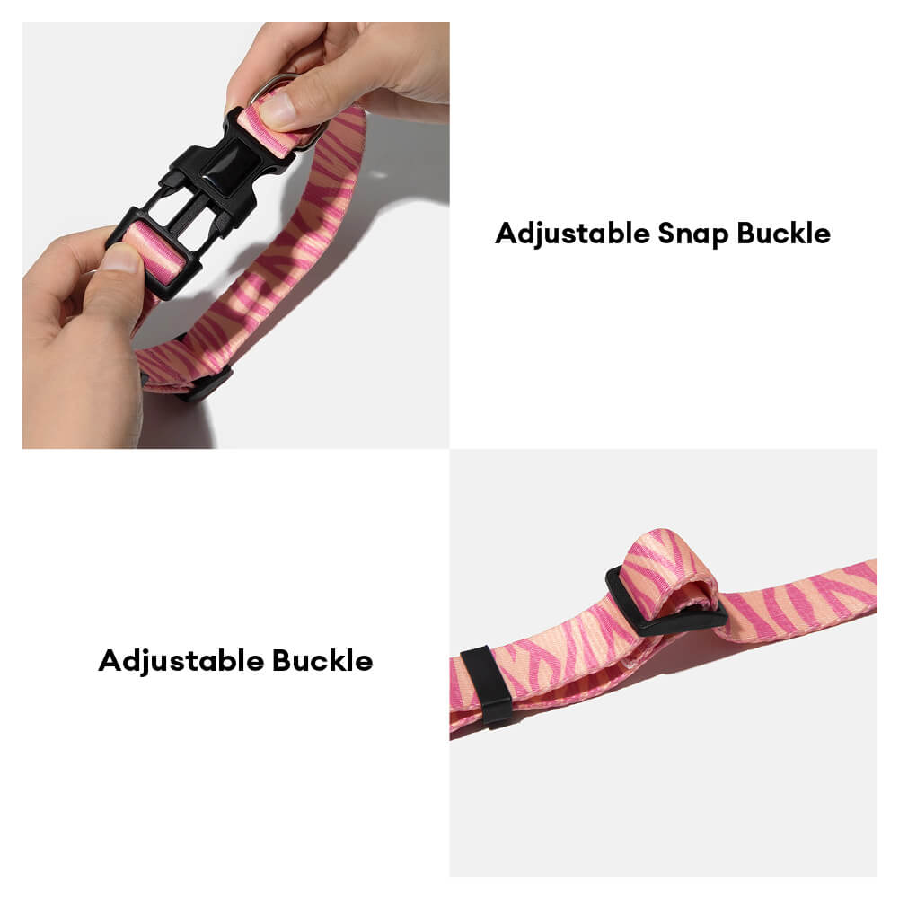 Fashion Print Nylon Lightweight Dog Collar Leash Walking Set