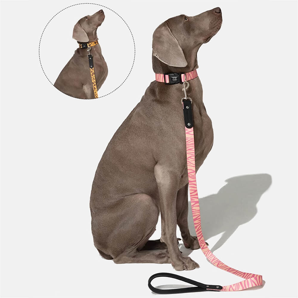 Fashion Print Nylon Lightweight Dog Collar Leash Walking Set