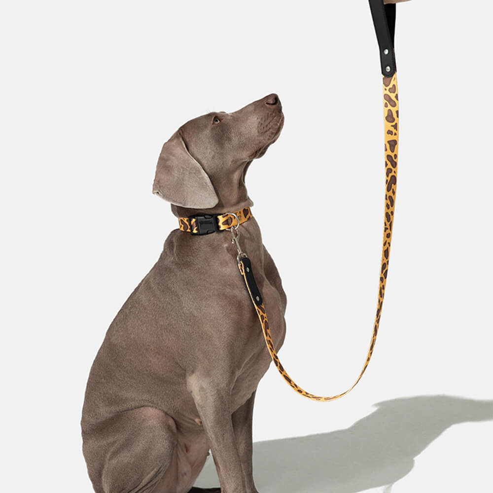 Fashion Print Nylon Lightweight Dog Collar Leash Walking Set