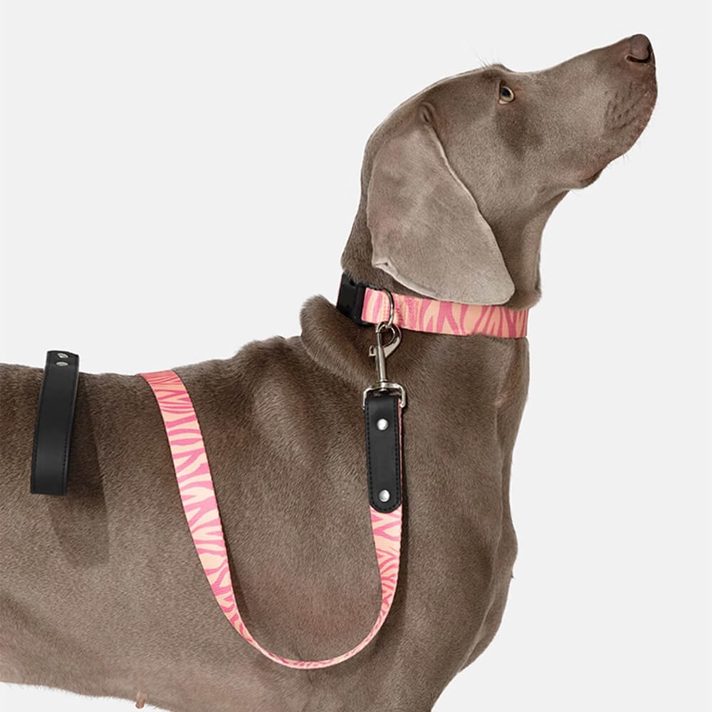Fashion Print Nylon Lightweight Dog Collar Leash Walking Set