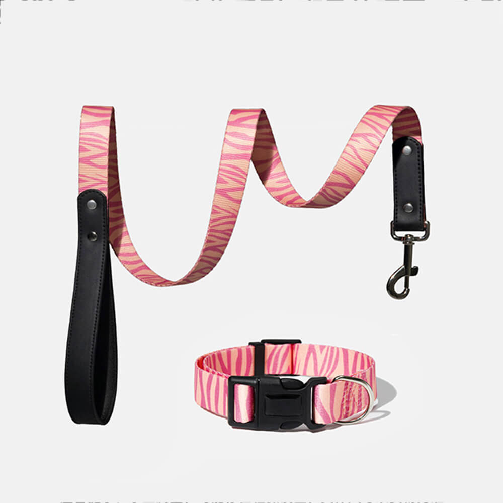 Fashion Print Nylon Lightweight Dog Collar Leash Walking Set