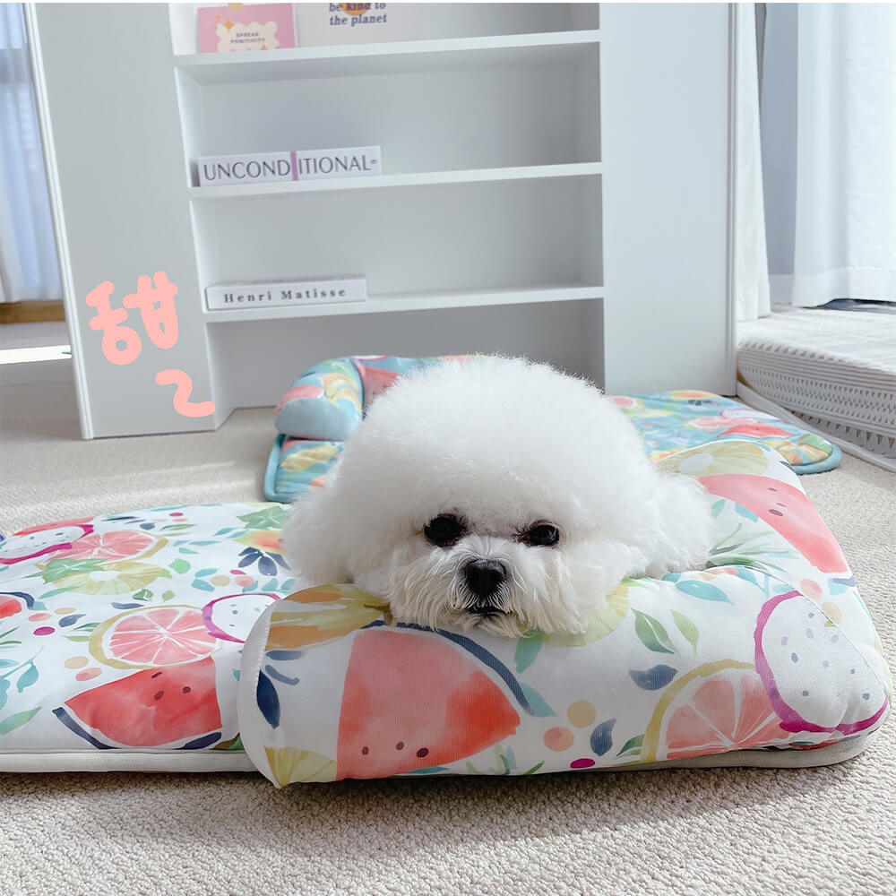 Fruit Print Cooling Ice Silk Dog & Cat Mat with Pillow