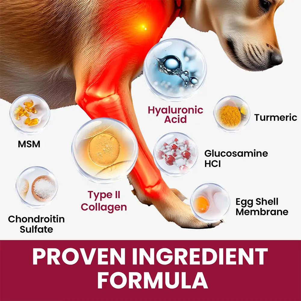 Glucosamine Hip and Joint Supplement Chondroitin Drops for Dogs - 60ml