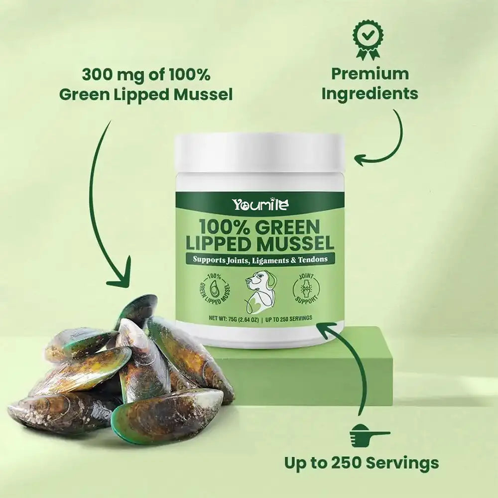 Green Lipped Mussel Powder for Dogs and Cats - Natural Hip & Joint Supplement
