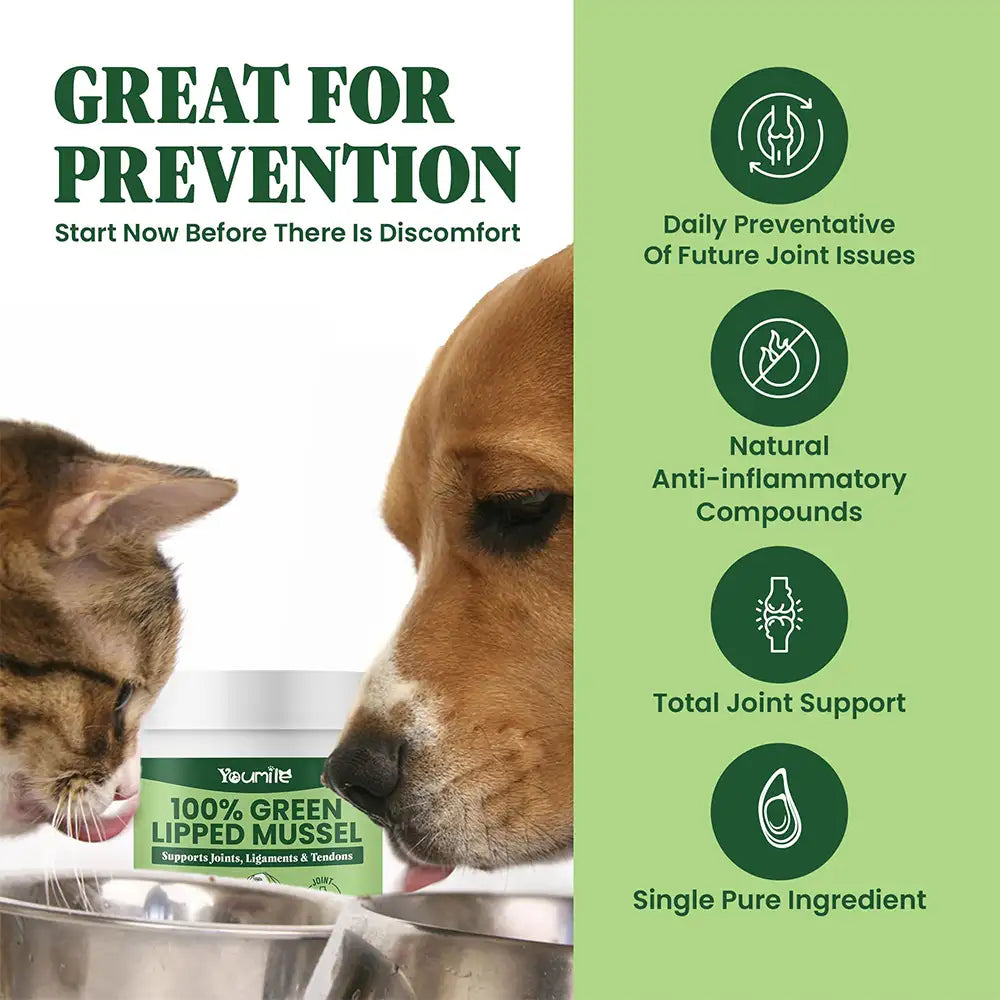 Green Lipped Mussel Powder for Dogs and Cats - Natural Hip & Joint Supplement
