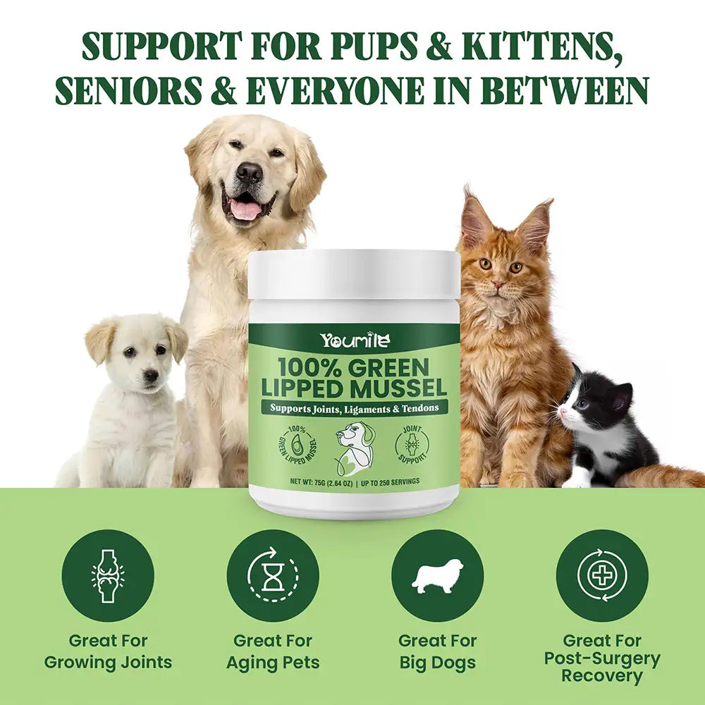Green Lipped Mussel Powder for Dogs and Cats - Natural Hip & Joint Supplement
