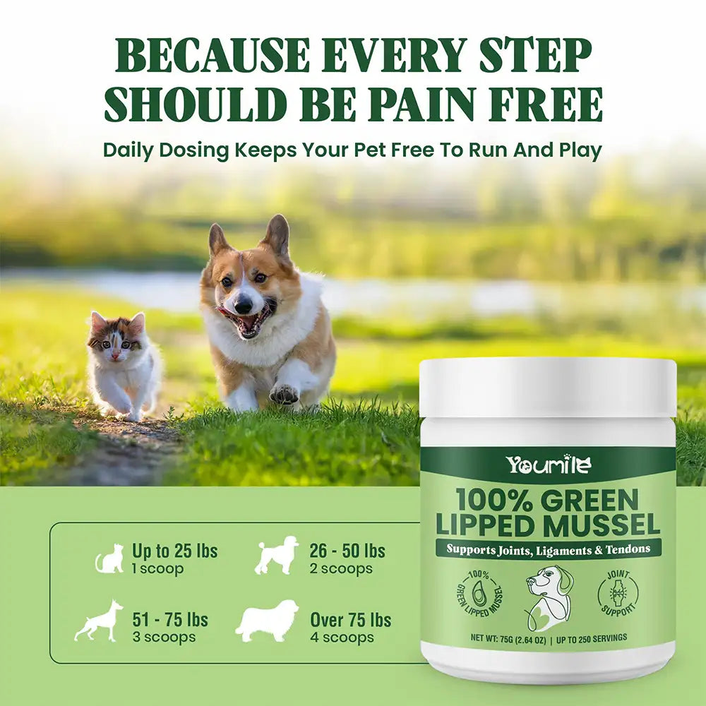 Green Lipped Mussel Powder for Dogs and Cats - Natural Hip & Joint Supplement