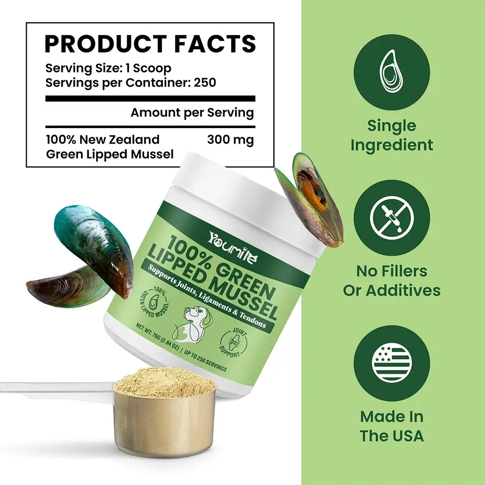 Green Lipped Mussel Powder for Dogs and Cats - Natural Hip & Joint Supplement