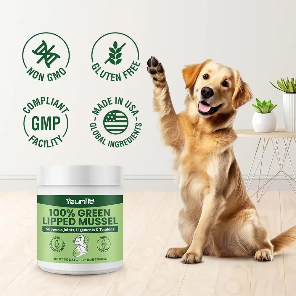 Green Lipped Mussel Powder for Dogs and Cats - Natural Hip & Joint Supplement