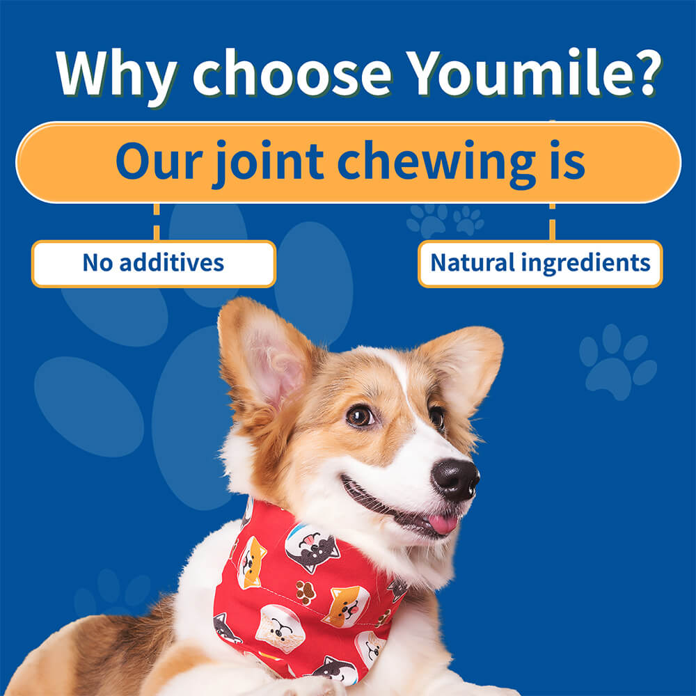Hip & Joint Dog Supplement Chews for Pain Relief and Inflammation Support - 120 Count