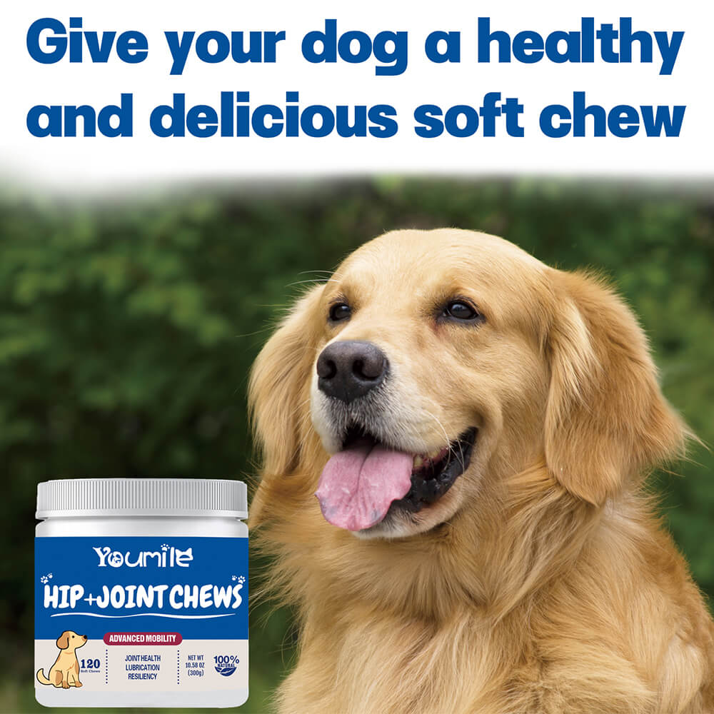 Hip & Joint Dog Supplement Chews for Pain Relief and Inflammation Support - 120 Count