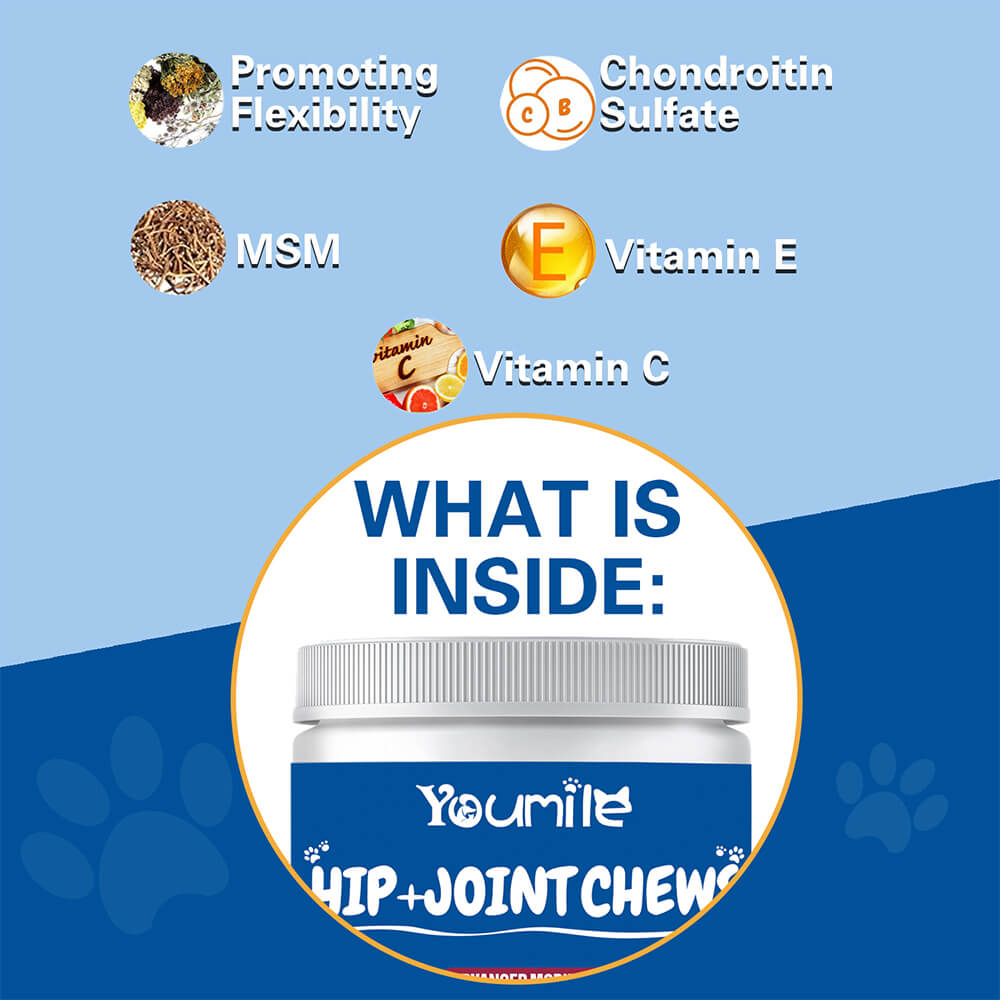 Hip & Joint Dog Supplement Chews for Pain Relief and Inflammation Support - 120 Count