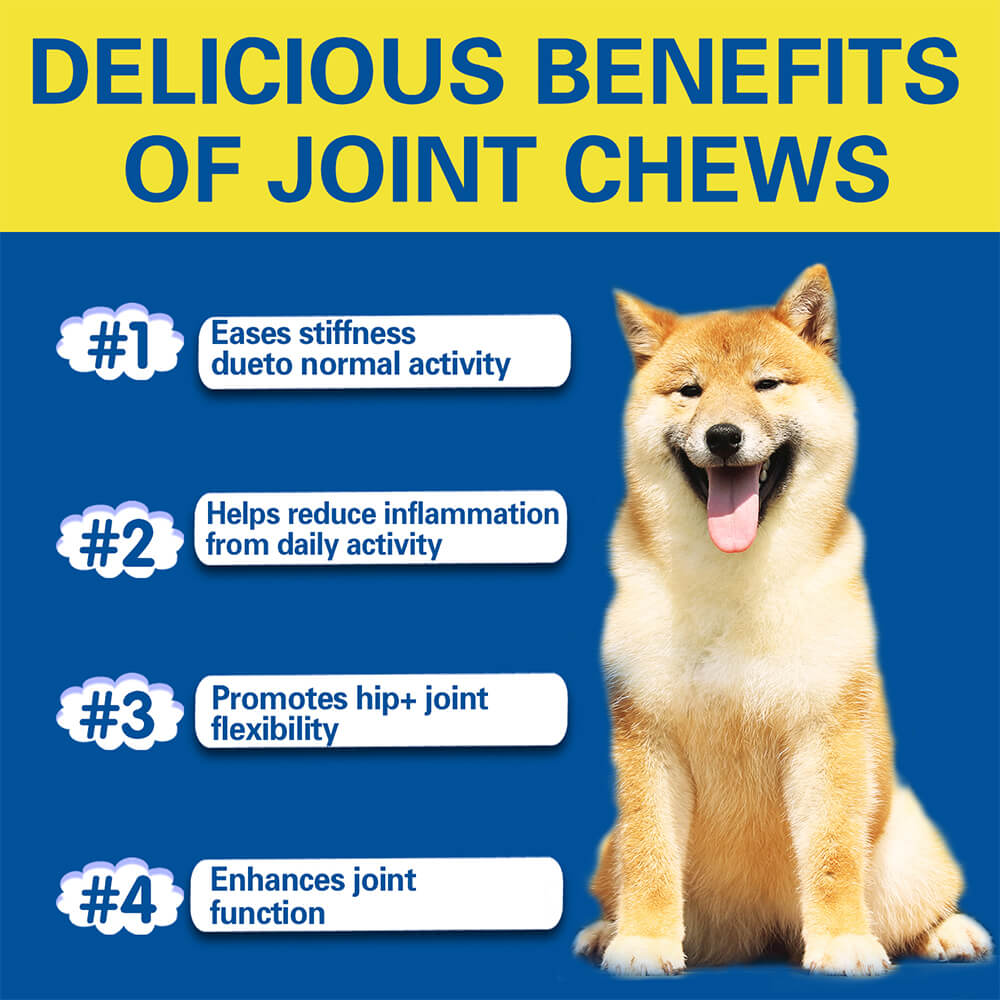 Hip & Joint Dog Supplement Chews for Pain Relief and Inflammation Support - 120 Count