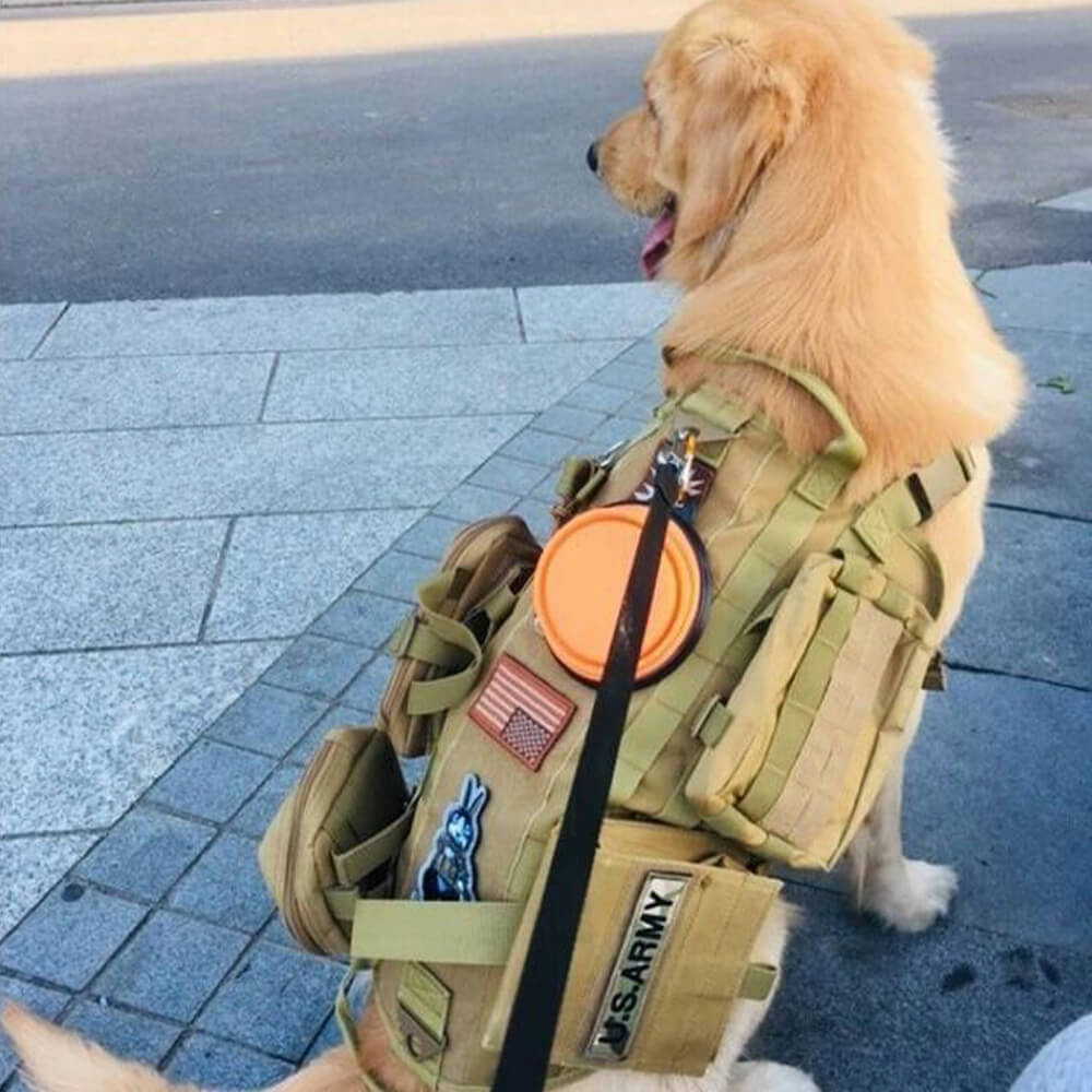 Military-Style Tactical Dog Vest with Adjustable Straps