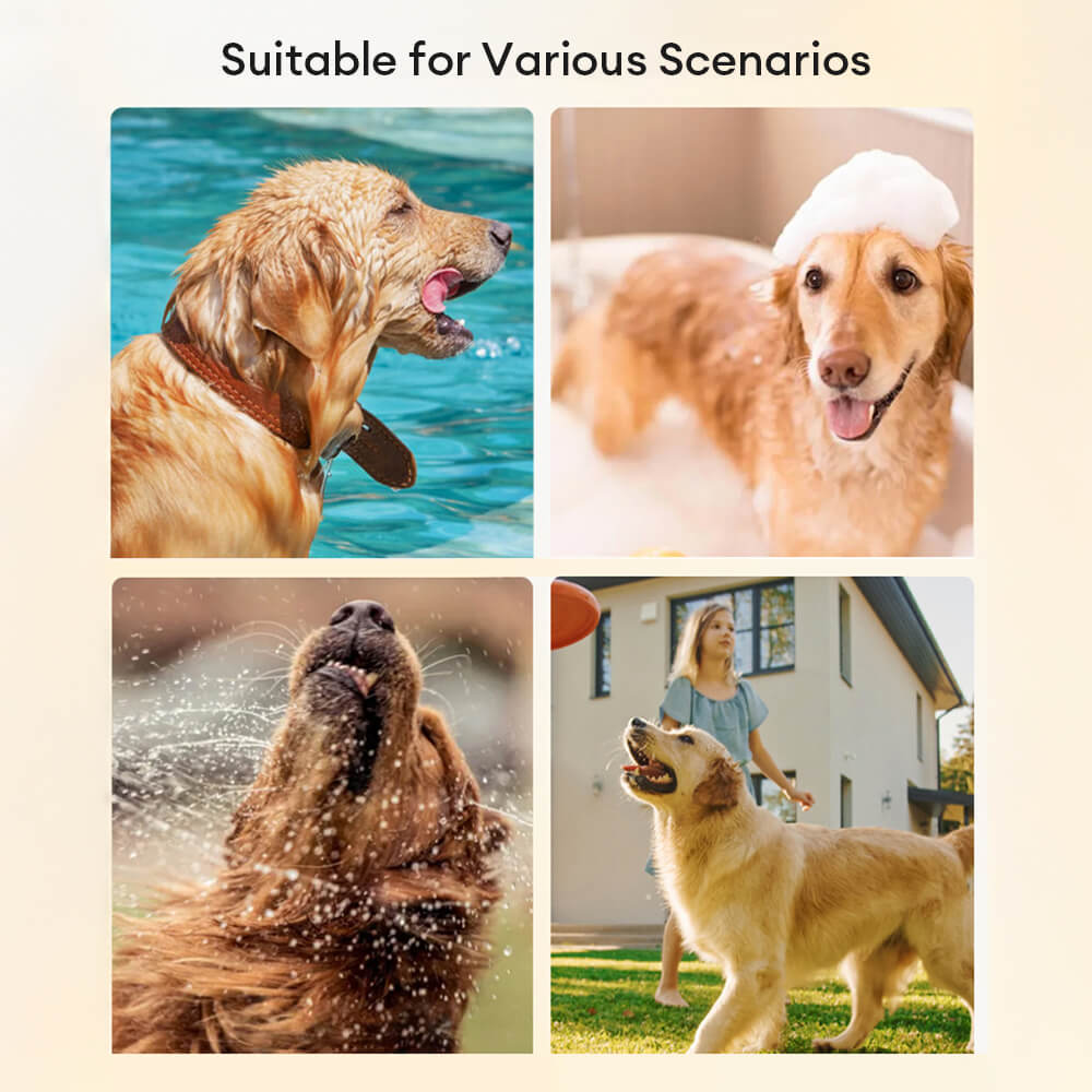Absorbente rayado grueso grande para la piel de la piel del perro múltiple toalla de baño del perro