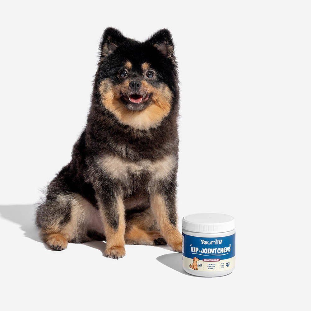 Hip & Joint Dog Supplement Chews for Pain Relief and Inflammation Support - 120 Count
