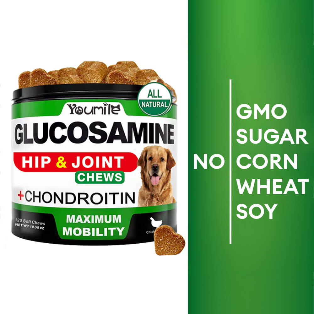 Hip & Joint Glucosamine Supplement for Dogs - Supports Mobility and Pain Relief Naturally