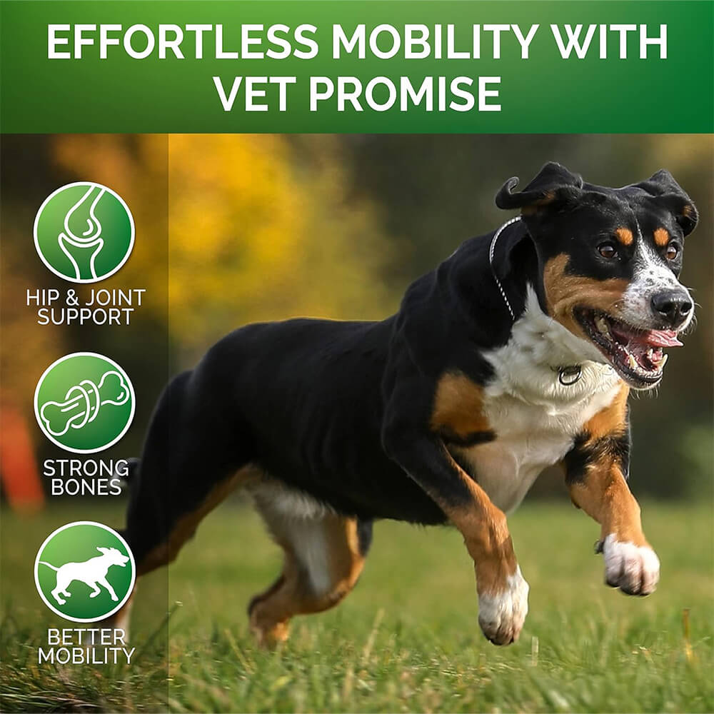 Hip & Joint Glucosamine Supplement for Dogs - Supports Mobility and Pain Relief Naturally
