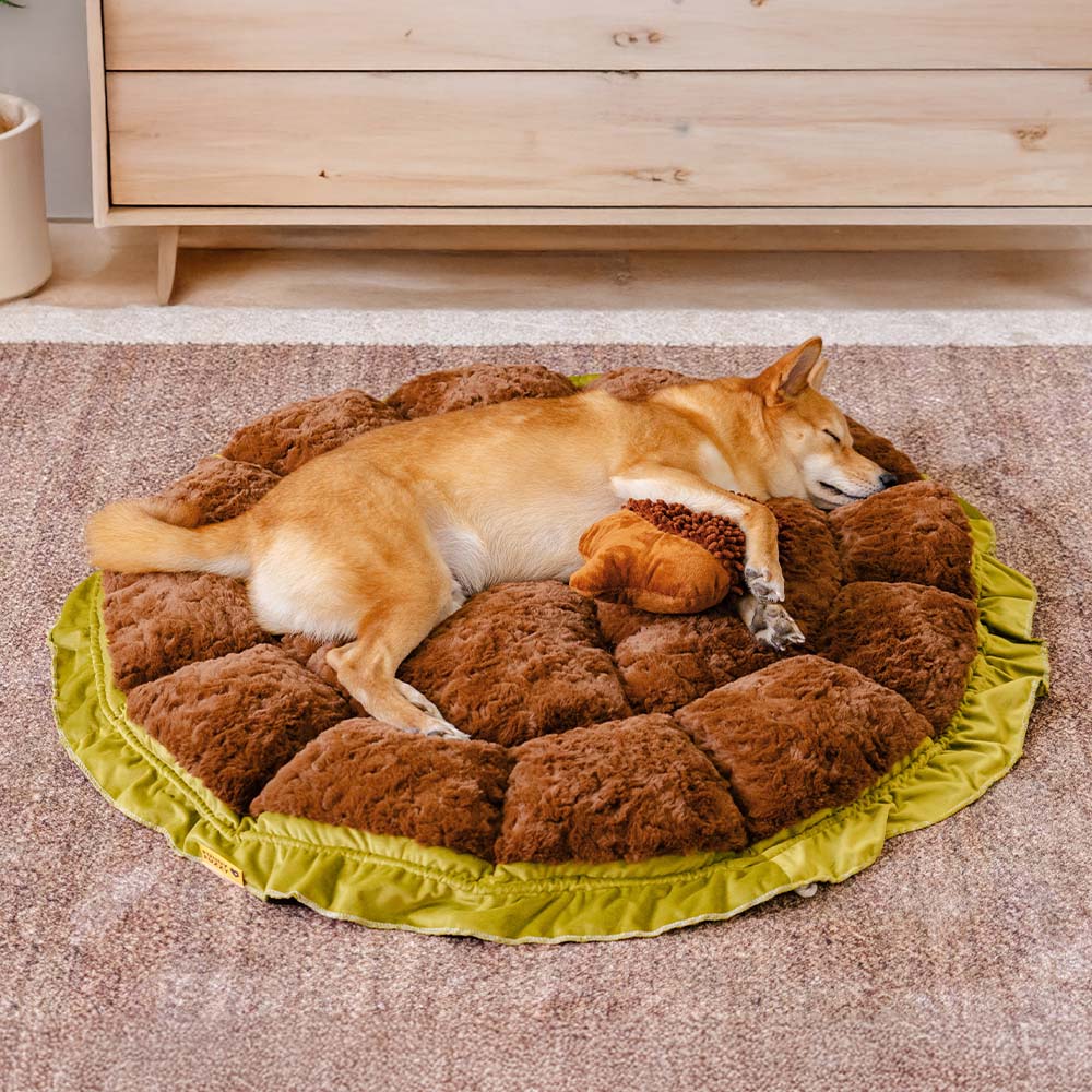 Cama de perros calmante ajustable inspirada en la naturaleza - Nido de felpa