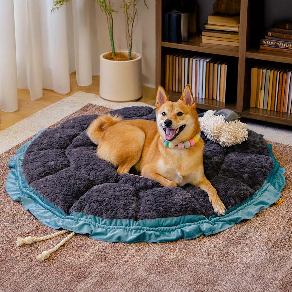 Cama de perros calmante ajustable inspirada en la naturaleza - Nido de felpa