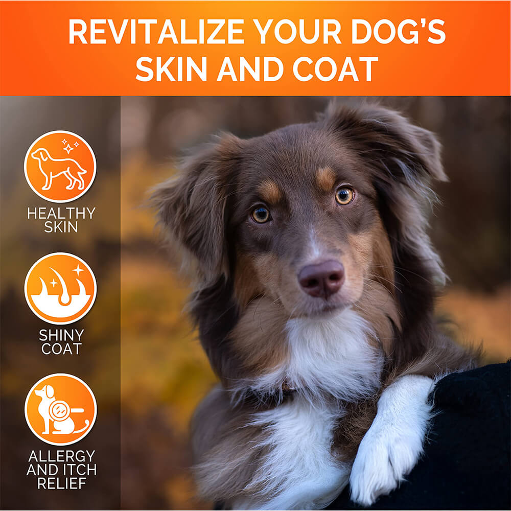 Shed-Defense Skin & Coat Supplement for Dogs – 60 Count Pouch with Omega-3 Fish Oil