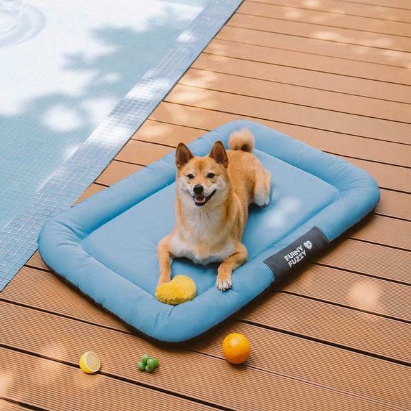 Outdoor Waterproof & Chew-proof Memory Foam Orthopedic Dog Mat - Trek Lounge