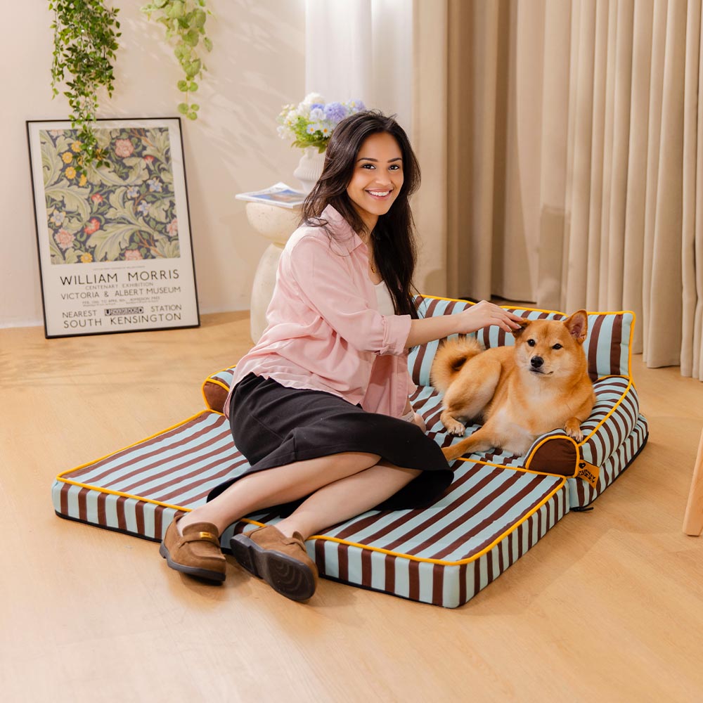 Stripe Waterproof Foldable Large Dog Sofa Bed - Sunny Siesta