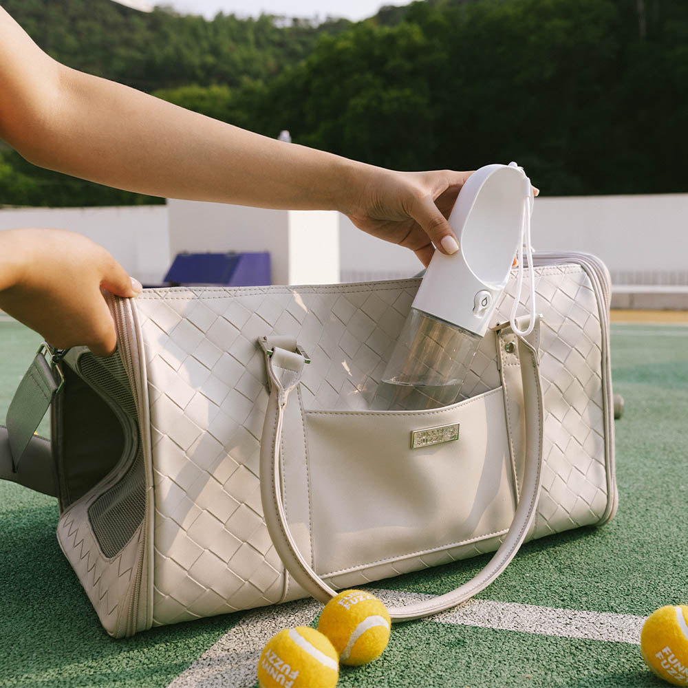 Luxury Multi-Functional Breathable Woven Leather Pet Carrier – The City Companion