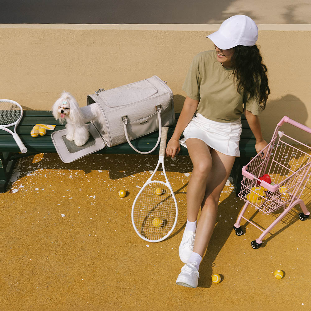 Luxury Multi-Functional Breathable Woven Leather Pet Carrier – The City Companion