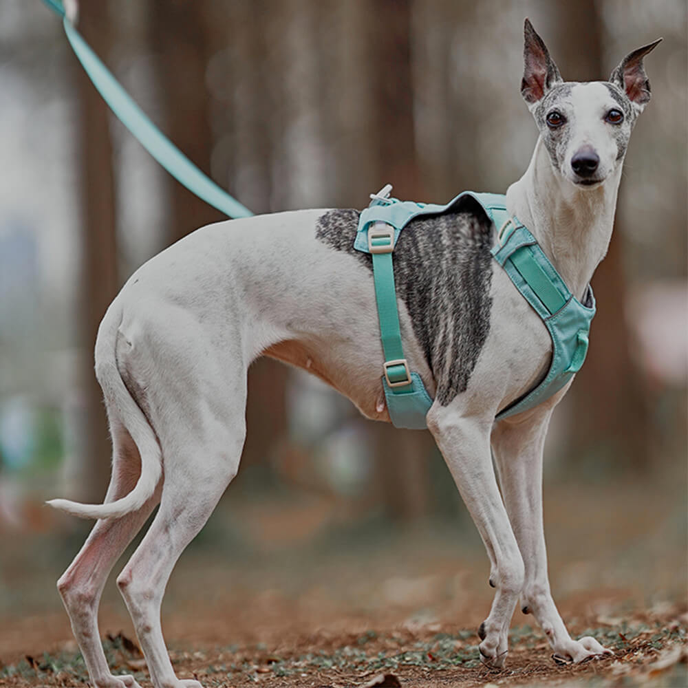 Lightweight Waterproof Breathable Anti-Pull Dog Harness or Multifunctional Leash