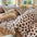 Modern Cozy Style Striped Textured Duvet Cover Bed Sheet Set