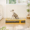Hooman Innerspring Coils Orthopedic Human Dog Bed - Everdream