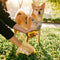 FUNNYFUZZY Waterproof Leash Attachable Poop Bag Dispenser - Flexi Walker