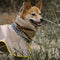 Adjustable Reflective Waterproof with Pocket Dog Human Matching Raincoat-Stay Dry