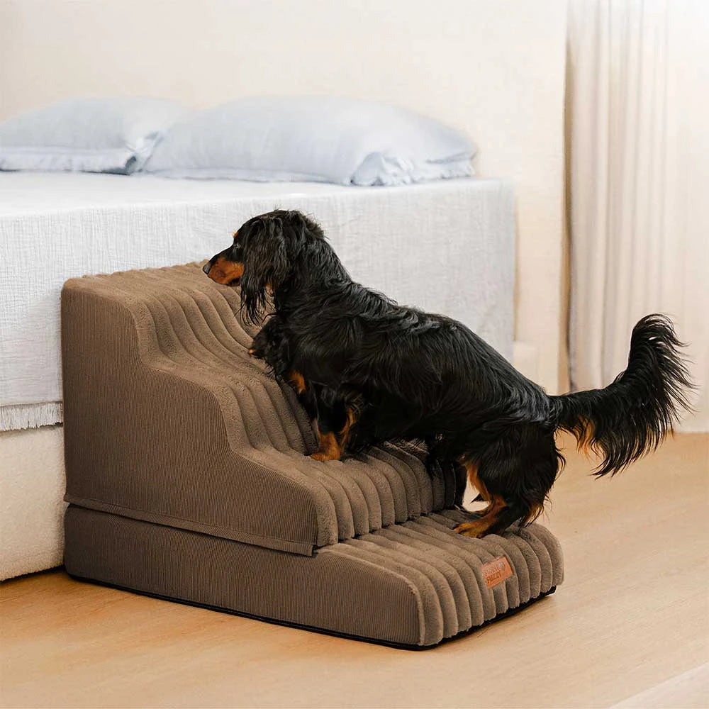 2 in 1 Fluffy Plush Sponge Detachable Pet Stair＆Bed - CreamyRamp