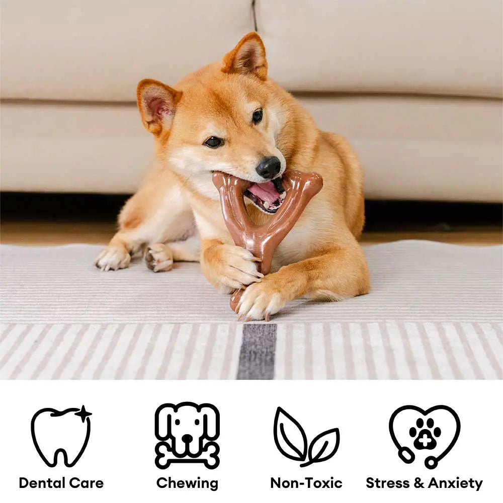 Bones de dentición para perros Chew Toy - con sabor a tocino