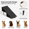 2-in-1 Convertible Wooden Home Step Stool Dog Ramp Stairs