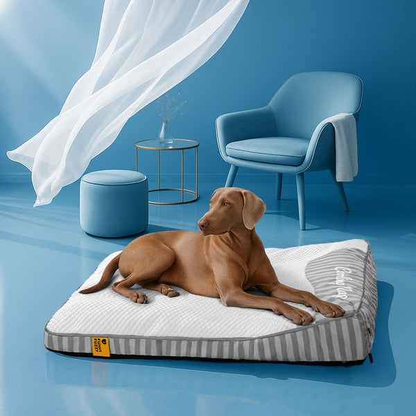 Estera para perros sin deslizamiento de enfriamiento grande - siesta de enfriamiento