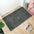 Ultra-Absorbent Non-Slip Chenille Front Door Mat for Muddy Dog Paws