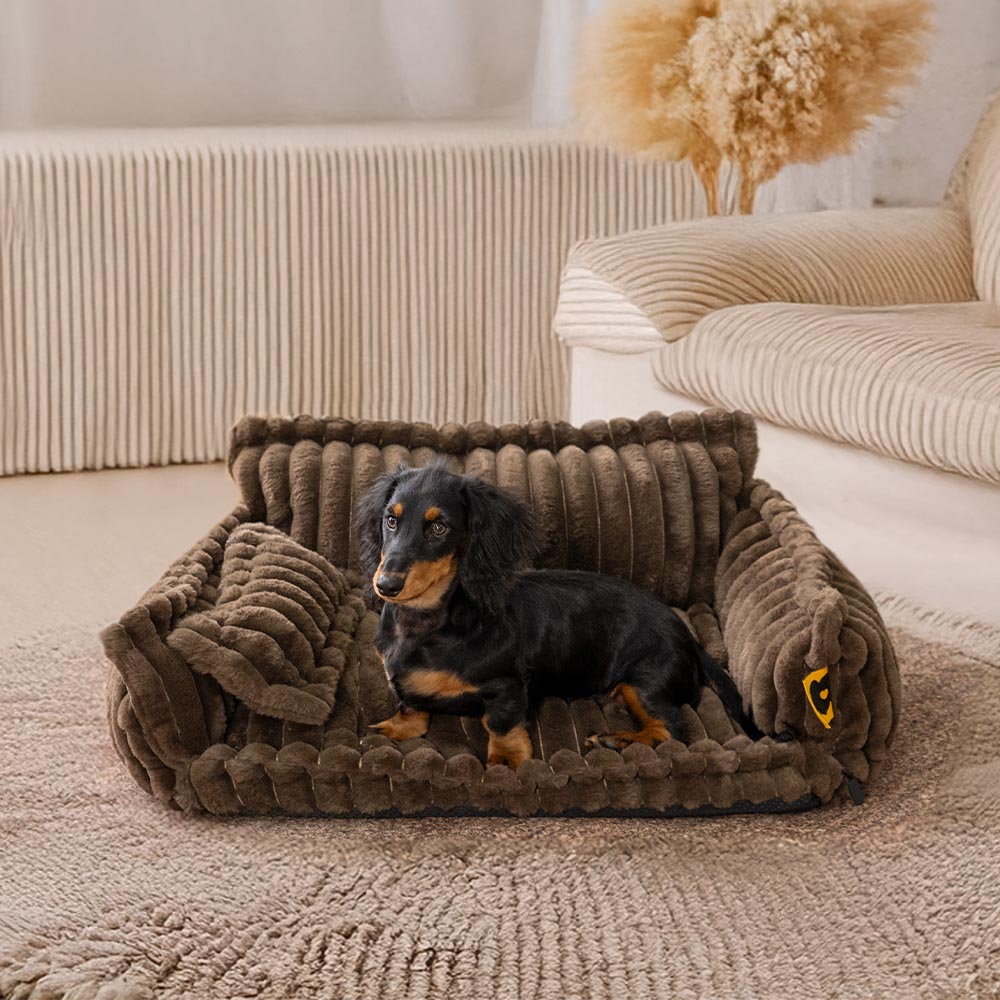 Large Washable Fluffy Orthopedic Soft Dog Pillow Dog Sofa Bed-Snoozy Dreams