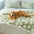 Cloud Flocked Waterproof Multi-Functional Sherpa Dog Blanket