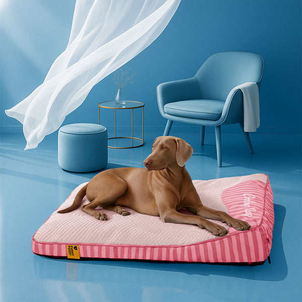 Estera para perros sin deslizamiento de enfriamiento grande - siesta de enfriamiento