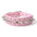Studded Pet Cool Multicolor Collars