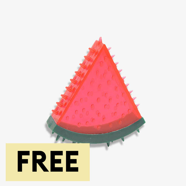 Teething Rubber Water-filled Frozen Fruit Shape Dog Toys