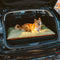Luxury Water-repellent Dual-Sided Calming Dog Mat