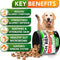 Allergy Relief Soft Chews for Dogs - Soothing Itching and Enhancing Immune Support