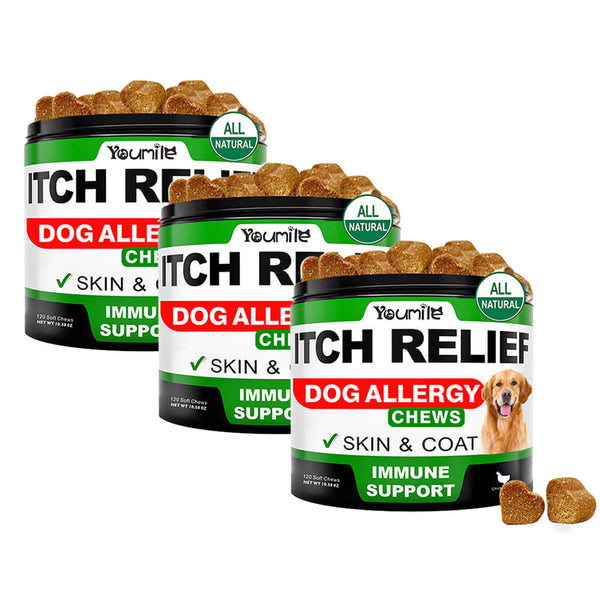 Allergy Relief Soft Chews for Dogs - Soothing Itching and Enhancing Immune Support